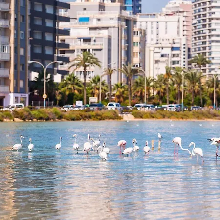Διαμέρισμα Apartamento Caribe - Plusholidays Κάλπε
